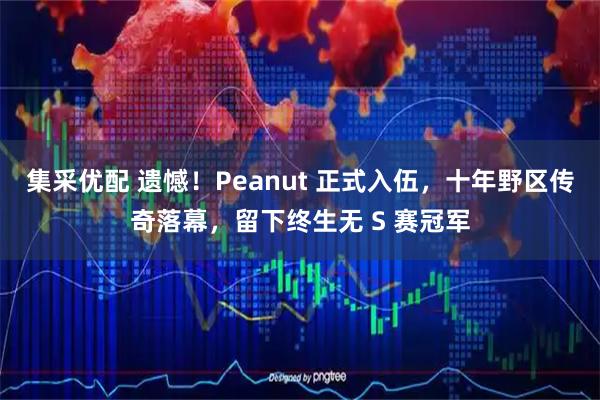 集采优配 遗憾!Peanut 正式入伍,十年野区传奇落幕,留下终生无 S 赛冠军
