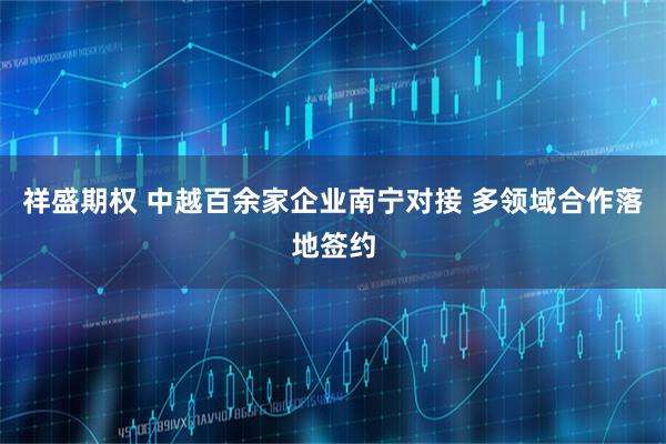 祥盛期权 中越百余家企业南宁对接 多领域合作落地签约